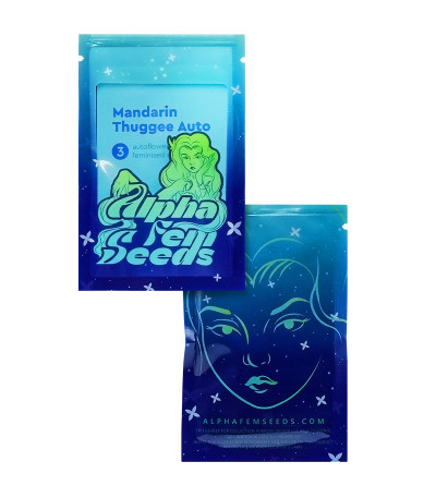 Mandarin Thuggee Auto fem (AlphaFem Seeds) семена конопли — изображение 2