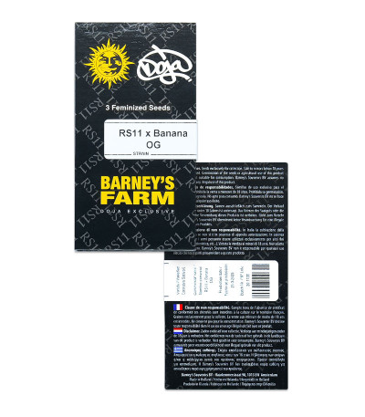 RS11 x Banana OG fem (Barney's Farm) семена конопли — изображение 2